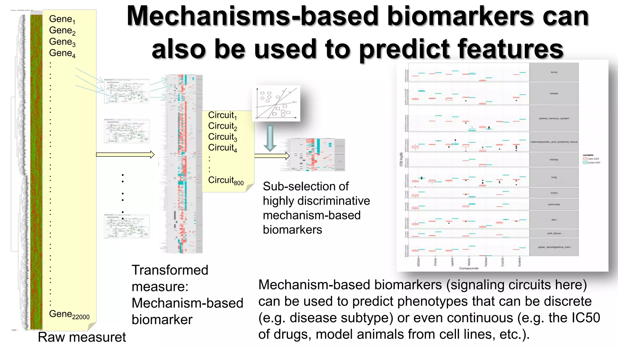 Gene1 Gene2 Gene3 Gene4 : : : : : : : : : : : : : : : : : : : : : : Gene22000 
Raw measuret 
Transformed measure: 
Mechanism-based biomarker 
Circuit1 
Circuit2 
Circuit3 
Circuit4 
: 
: 
Circuit800 
Sub-selection of highly discriminative mechanism-based biomarkers 
Mechanism-based biomarkers (signaling circuits here) can be used to predict phenotypes that can be discrete (e.g. disease subtype) or even continuous (e.g. the IC50 of drugs, model animals from cell lines, etc.). 
Mechanisms-based biomarkers can also be used to predict features 
: 
: 
:  