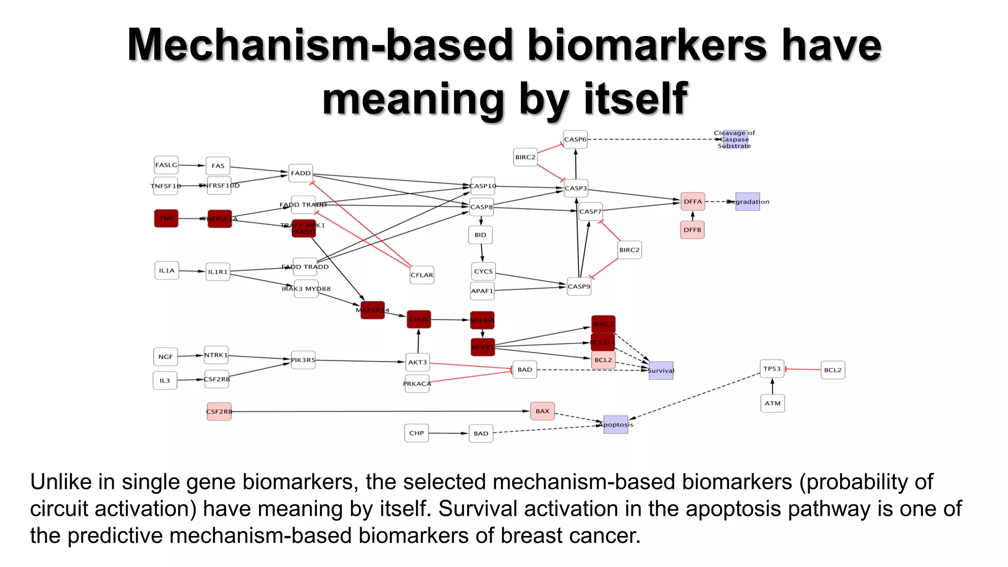 Mechanism-based biomarkers have meaning by itself 
Unlike in single gene biomarkers, the selected mechanism-based biomarkers (probability of circuit activation) have meaning by itself. Survival activation in the apoptosis pathway is one of the predictive mechanism-based biomarkers of breast cancer.  