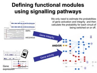 Defining functional modules using signalling pathways 
SNPs 
WES/WGS 
Gene expression 
We only need to estimate the probabilities of gene activation and integrity and then calculate the probability for each circuit of being switched on or off. 
AND/OR  