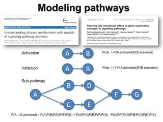 A 
B 
A 
B 
B 
D 
C 
E 
F 
A 
G 
P(A→G activated) = P(A)P(B)P(D)P(F)P(G) + P(A)P(C)P(E)P(F)P(G) - P(A)P(F)P(G)P(B)P(C)P(D)P(E) 
Prob. = [1-P(A activated)]P(B activated) 
Prob. = P(A activated)P(B activated) 
Activation 
Inhibition 
Sub-pathway 
Modeling pathways  
