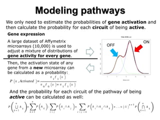 Modeling pathways 
We only need to estimate the probabilities of gene activation and then calculate the probability for each circuit of being active. 
And the probability for each circuit of the pathway of being active can be calculated as well: 
Gene expression A large dataset of Affymetrix microarrays (10,000) is used to adjust a mixture of distributions of gene activity for every gene. Then, the activation state of any gene from a new microarray can be calculated as a probability: 
ON 
OFF  