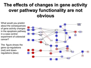 What would you predict about the consequences of gene activity changes in the apoptosis pathway in a case control experiment of colorectal cancer? 
The figure shows the gene up-regulations (red) and down- regulations (blue) 
The effects of changes in gene activity over pathway functionality are not obvious  