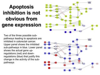 Apoptosis inhibition is not obvious from gene expression 
Two of the three possible sub- pathways leading to apoptosis are inhibited in colorectal cancer. Upper panel shows the inhibited sub-pathways in blue. Lower panel shows the actual gene up- regulations (red) and down- regulations (blue) that justify this change in the activity of the sub- pathways  