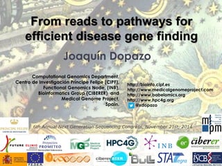Joaquín Dopazo 
Computational Genomics Department, 
Centro de Investigación Príncipe Felipe (CIPF), 
Functional Genomics Node, (INB), 
Bioinformatics Group (CIBERER) and 
Medical Genome Project, 
Spain. 
From reads to pathways for efficient disease gene finding 
http://bioinfo.cipf.es 
http://www.medicalgenomeproject.com 
http://www.babelomics.org 
http://www.hpc4g.org 
@xdopazo 
6th Annual Next Generation Sequencing Congress, November 21st, 2014  