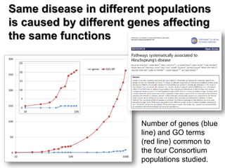 Same disease in different populations is caused by different genes affecting the same functions 
Number of genes (blue lin...