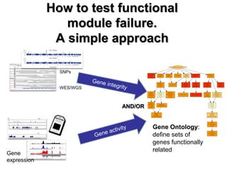How to test functional module failure. A simple approach 
SNPs WES/WGS 
Gene expression 
AND/OR 
Gene Ontology: define set...