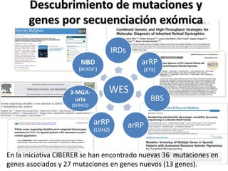 Descubrimiento de mutaciones y
genes por secuenciación exómica
En la iniciativa CIBERER se han encontrado nuevas 36 mutaciones en
genes asociados y 27 mutaciones en genes nuevos (13 genes).
WES
IRDs
arRP
(EYS)
BBS
arRParRP
(USH2)
3-MGA-
uria
(SERAC1)
NBD
(BCKDK )
 