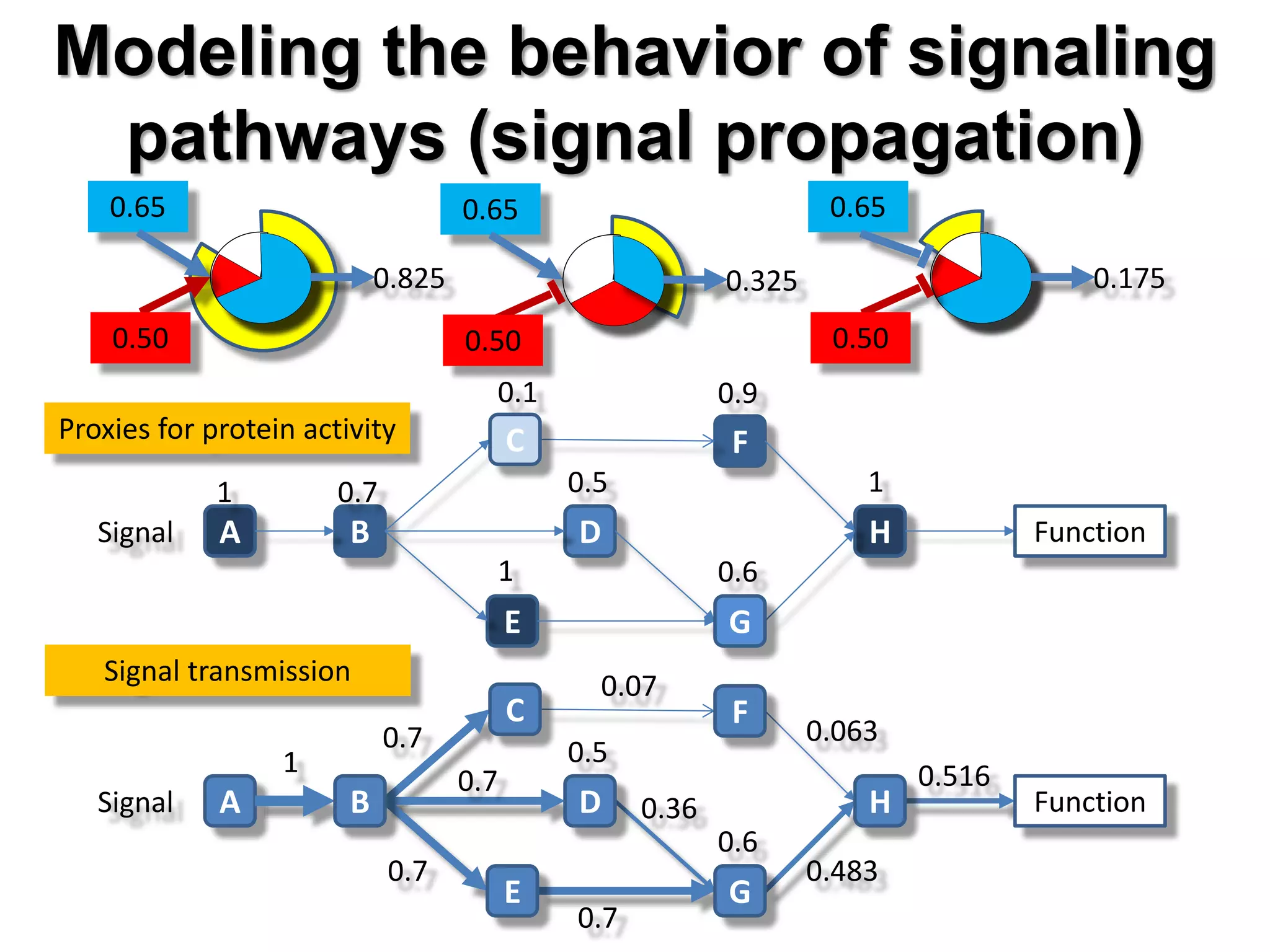 A B D
E
F
HSignal
1 0.7
0.1 0.9
0.5
1 0.6
1
ASignal
1
0.7
0.07
0.5
0.6
0.7
0.7
0.7
0.063
0.483
0.516
0.36
0.65
0.825
0.65
0.325
0.65
0.175
0.500.50
C
C F
G
H Function
Function
E
DB
G
0.50
Modeling the behavior of signaling
pathways (signal propagation)
Proxies for protein activity
Signal transmission
 