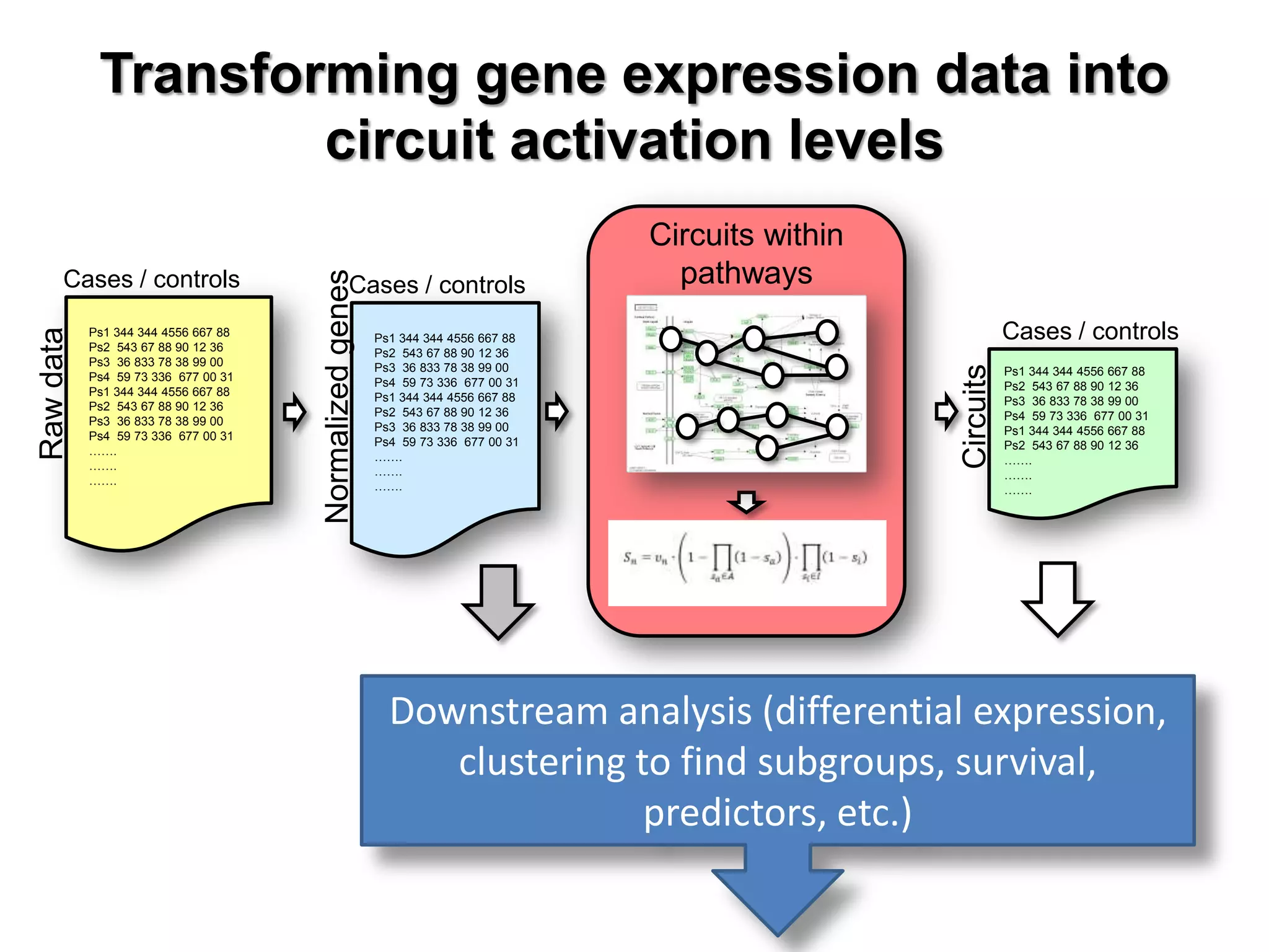 Transforming gene expression data into
circuit activation levels
Cases / controls
Normalizedgenes Ps1 344 344 4556 667 88
Ps2 543 67 88 90 12 36
Ps3 36 833 78 38 99 00
Ps4 59 73 336 677 00 31
Ps1 344 344 4556 667 88
Ps2 543 67 88 90 12 36
Ps3 36 833 78 38 99 00
Ps4 59 73 336 677 00 31
…….
…….
…….
Cases / controls
Circuits
Ps1 344 344 4556 667 88
Ps2 543 67 88 90 12 36
Ps3 36 833 78 38 99 00
Ps4 59 73 336 677 00 31
Ps1 344 344 4556 667 88
Ps2 543 67 88 90 12 36
…….
…….
…….
Circuits within
pathwaysCases / controls
Rawdata
Ps1 344 344 4556 667 88
Ps2 543 67 88 90 12 36
Ps3 36 833 78 38 99 00
Ps4 59 73 336 677 00 31
Ps1 344 344 4556 667 88
Ps2 543 67 88 90 12 36
Ps3 36 833 78 38 99 00
Ps4 59 73 336 677 00 31
…….
…….
…….
Downstream analysis (differential expression,
clustering to find subgroups, survival,
predictors, etc.)
 
