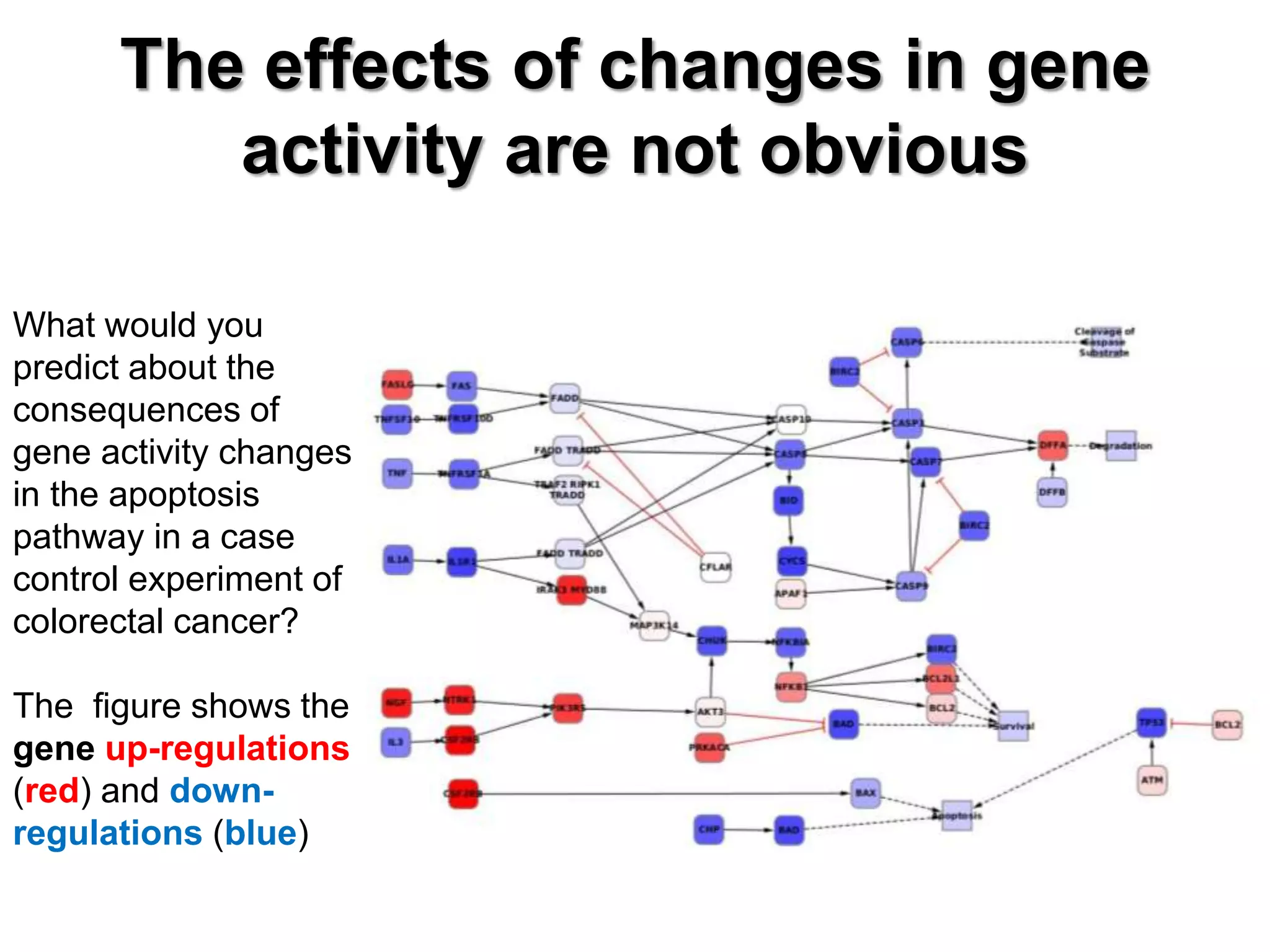 What would you
predict about the
consequences of
gene activity changes
in the apoptosis
pathway in a case
control experiment of
colorectal cancer?
The figure shows the
gene up-regulations
(red) and down-
regulations (blue)
The effects of changes in gene
activity are not obvious
 