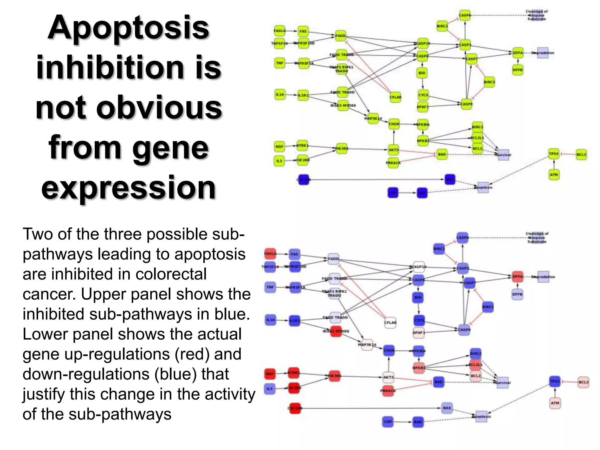 Apoptosis
inhibition is
not obvious
from gene
expression
Two of the three possible sub-
pathways leading to apoptosis
are inhibited in colorectal
cancer. Upper panel shows the
inhibited sub-pathways in blue.
Lower panel shows the actual
gene up-regulations (red) and
down-regulations (blue) that
justify this change in the activity
of the sub-pathways
 