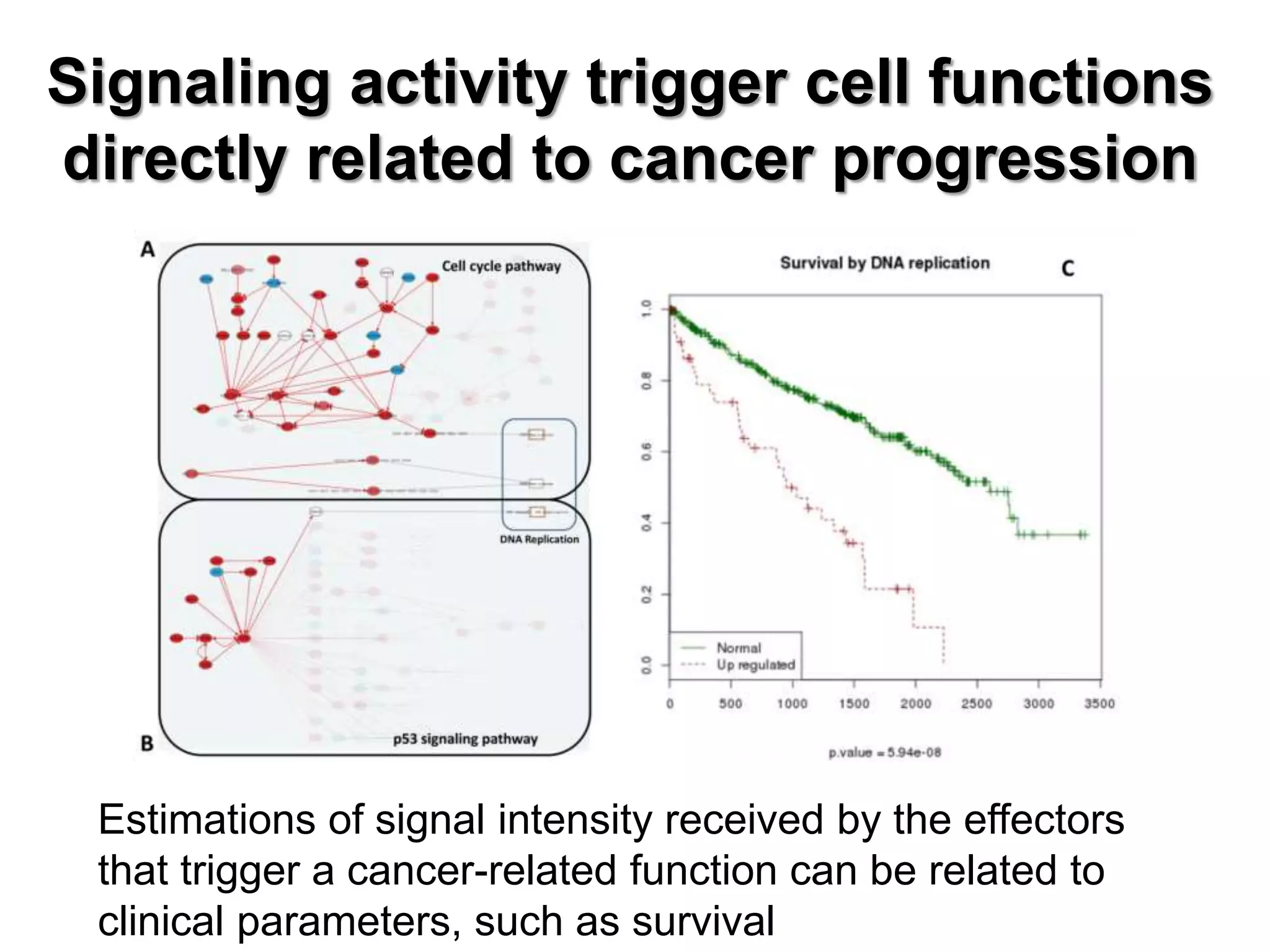 Signaling activity trigger cell functions
directly related to cancer progression
Estimations of signal intensity received by the effectors
that trigger a cancer-related function can be related to
clinical parameters, such as survival
 
