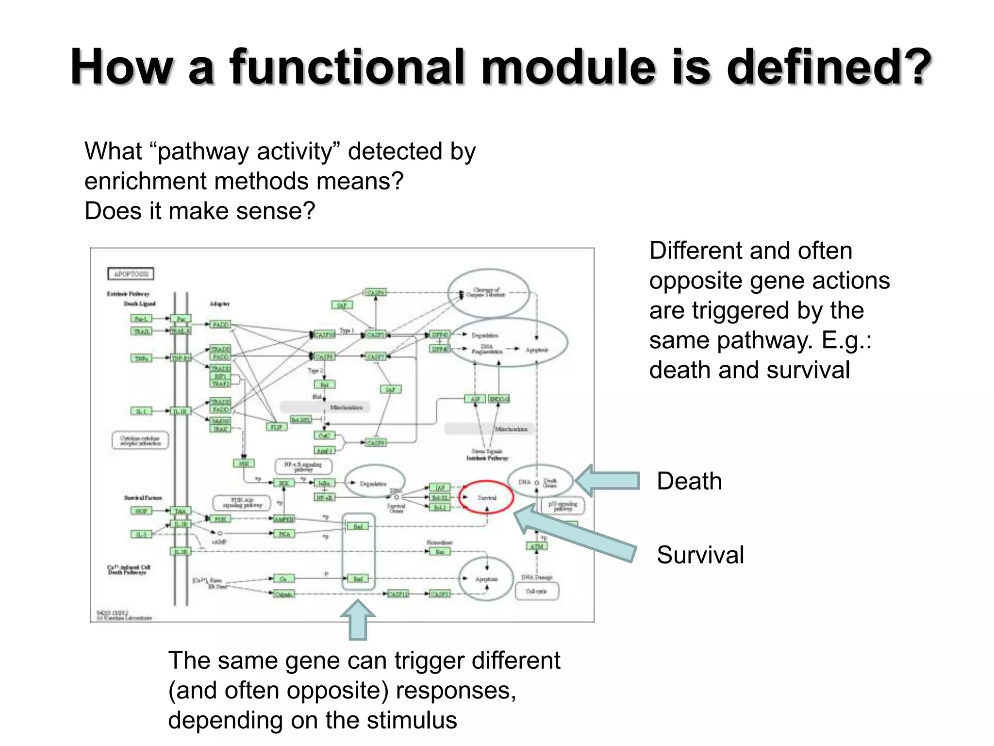 How a functional module is defined?
What “pathway activity” detected by
enrichment methods means?
Does it make sense?
Different and often
opposite gene actions
are triggered by the
same pathway. E.g.:
death and survival
The same gene can trigger different
(and often opposite) responses,
depending on the stimulus
Survival
Death
 
