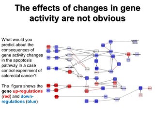 What would you
predict about the
consequences of
gene activity changes
in the apoptosis
pathway in a case
control experiment of
colorectal cancer?
The figure shows the
gene up-regulations
(red) and down-
regulations (blue)
The effects of changes in gene
activity are not obvious
 