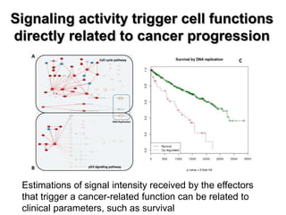 Signaling activity trigger cell functions
directly related to cancer progression
Estimations of signal intensity received by the effectors
that trigger a cancer-related function can be related to
clinical parameters, such as survival
 