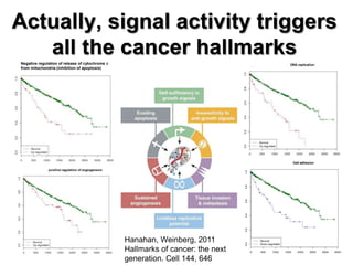 Actually, signal activity triggers
all the cancer hallmarks
Hanahan, Weinberg, 2011
Hallmarks of cancer: the next
generation. Cell 144, 646
Negative regulation of release of cytochrome c
from mitochondria (inhibition of apoptosis)
 