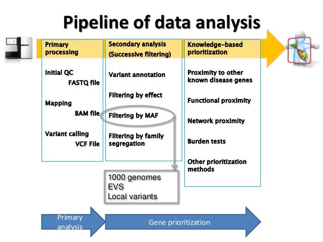 Bioinformatics and NGS for advancing in hearing loss research
