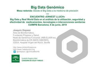Big Data Genómico
Mesa redonda: Desde el Big Data a la medicina de precisión
---
ENCUENTRO «ERNEST LLUCH»
Big Data y Real World Data en el análisis de la utilización, seguridad y
efectividad de medicamentos, tecnologías e intervenciones sanitarias
CUIMPB Barcelona, 9 de junio, 2019
Joaquín Dopazo
Área de Bioinformática,
Fundación Progreso y Salud,
Nodo de Genómica Funcional, (INB-ELIXIR-es),
Bioinformática de ER (BiER-CIBERER),
CDCA, Hospital Virgen del Rocío, Sevilla
http://www.clinbioinfosspa.es
http://www. babelomics.org
@xdopazo, @ClinicalBioinfo
 