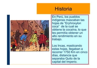 HistoriaHistoria
En Perú, los pueblos
indígenas mascaban las
hojas de “Eryhroxylon
coca” de la cual se
obtiene la cocaína, lo que
les permitía obtener unles permitía obtener un
alto rendimiento en su
trabajo.
Los Incas, masticando
estas hojas, llegaban a
recorrer 1750 Km en cinco
días, distancia que
separaba Quito de la
capital del Imperio.
 