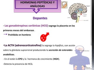 HORMONAS PEPTÍDICAS Y
                     ANÁLOGAS


                             Dopantes

                                           segrega la placenta en los
primeros meses del embarazo .
    Prohibida en hombres



                                      la segrega la hipófisis, con acción
sobre la glándula suprarrenal produciendo la secreción de esteroides
anabólicos.
- En el están la EPO y la hormona de crecimiento (HGH).

-Detecta la presencia de HCG.
 