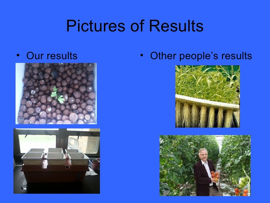 Do plants grow better in water or soil