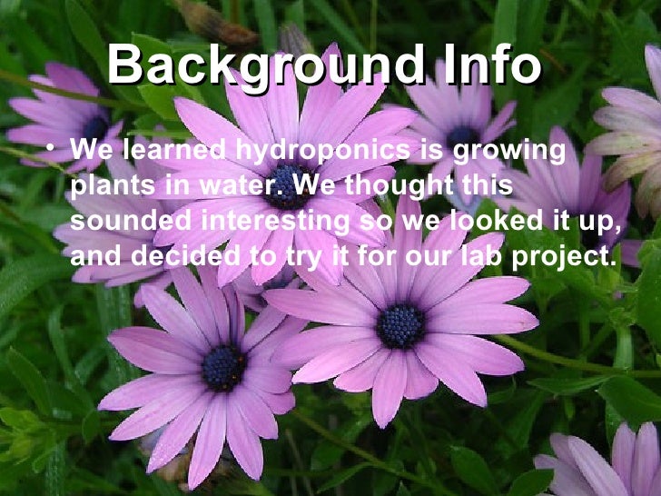 Do plants grow better in water or soil