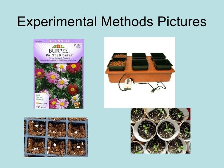 Do plants grow better in water or soil