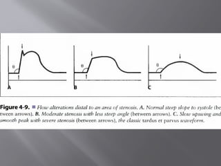 Clinical Sonography A Practical Guide 4th Edition 2007.djvu
 