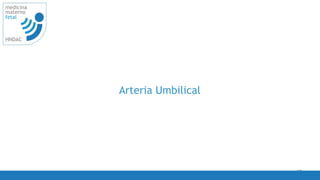 28
medicina
materno
fetal
HNDAC
Arteria Umbilical
 