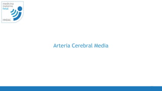 44
medicina
materno
fetal
HNDAC
Arteria Cerebral Media
 