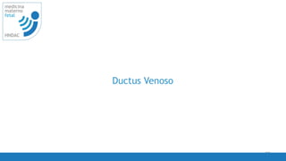 58
medicina
materno
fetal
HNDAC
Ductus Venoso
 
