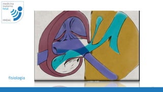 62
medicina
materno
fetal
HNDAC
fisiologia
 