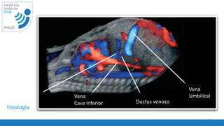 Vena
Umbilical
Ductus venoso
Vena
Cava inferior
63
medicina
materno
fetal
HNDAC
fisiologia
 