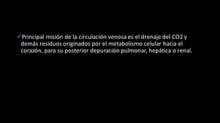 üPrincipal	
  misión	
  de	
  la	
  circulación	
  venosa	
  es	
  el	
  drenaje	
  del	
  CO2	
  y	
  
demás	
  residuos	
  originados	
  por	
  el	
  metabolismo	
  celular	
  hacia	
  el	
  
corazón,	
  para	
  su	
  posterior	
  depuración	
  pulmonar,	
  hepática	
  o	
  renal.	
  
 