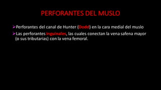 PERFORANTES	
  DEL	
  MUSLO
ØPerforantes	
  del	
  canal	
  de	
  Hunter	
  (Dodd)	
  en	
  la	
  cara	
  medial	
  del	
  muslo
ØLas	
  perforantes	
  inguinales,	
  las	
  cuales	
  conectan	
  la	
  vena	
  safena	
  mayor	
  
(o	
  sus	
  tributarias)	
  con	
  la	
  vena	
  femoral.
 