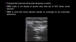 üCompresión transversal (escala de grises o color):
üVFC: Cada 2 cm desde el punto más alto de la VFC hasta canal
aductor.
üVFS: A nivel del canal aductor donde se sumerge en los músculos
aductores.
 