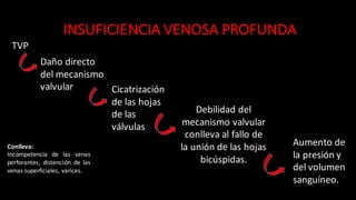 INSUFICIENCIA	
  VENOSA	
  PROFUNDA
TVP
Daño	
  directo	
  
del	
  mecanismo	
  
valvular Cicatrización	
  
de	
  las	
  hojas	
  
de	
  las	
  
válvulas
Debilidad	
  del	
  
mecanismo	
  valvular	
  	
  
conlleva	
  al	
  fallo	
  de	
  
la	
  unión	
  de	
  las	
  hojas	
  
bicúspidas.
Aumento	
  de	
  
la	
  presión	
  y	
  
del	
  volumen	
  
sanguíneo.
Conlleva:
Incompetencia de las venas
perforantes, distención de las
venas superficiales, varices.
 