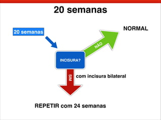 SIM
20 semanas
20 semanas
NÃO
INCISURA?
NORMAL
com incisura bilateral
REPETIR com 24 semanas
 