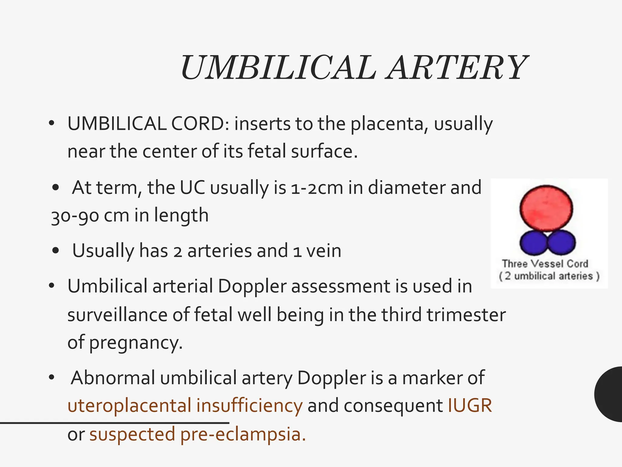 UMBILICAL ARTERY
• UMBILICAL CORD: inserts to the placenta, usually
near the center of its fetal surface.
• At term, the UC usually is 1-2cm in diameter and
30-90 cm in length
• Usually has 2 arteries and 1 vein
• Umbilical arterial Doppler assessment is used in
surveillance of fetal well being in the third trimester
of pregnancy.
• Abnormal umbilical artery Doppler is a marker of
uteroplacental insufficiency and consequent IUGR
or suspected pre-eclampsia.
 