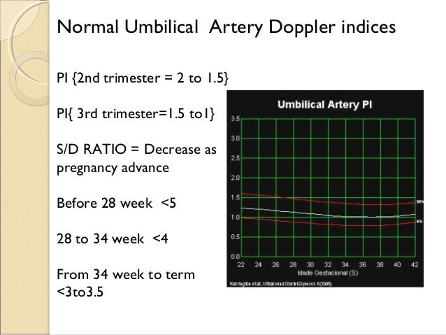 ratio s chart for umbilical d artery & Artery Umbilical Suggestions Keywords Related Ri Pi