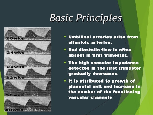 photo of one week pregnancy photo of one week pregnancy