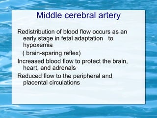 Doppler in intra uterine growth restriction | PDF