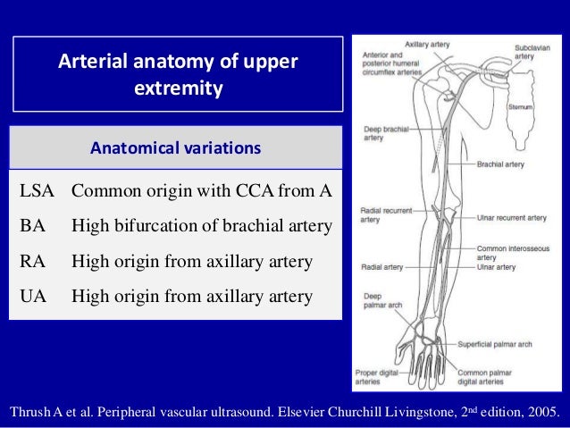 Doppler ultrasound of A-V access for hemodialysis