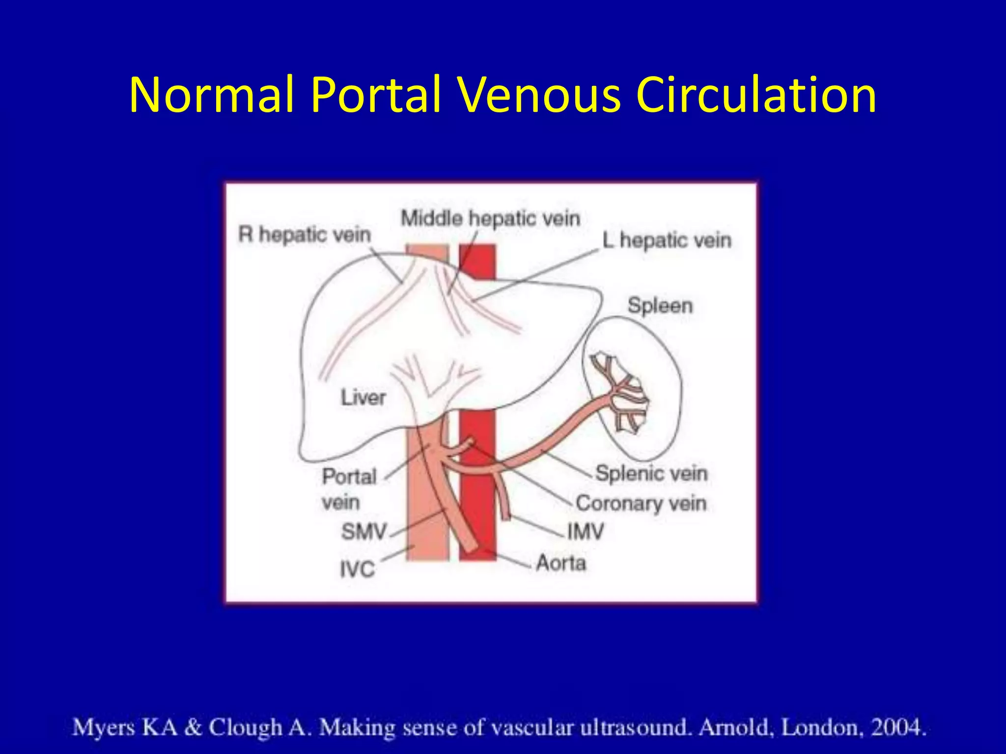 Normal Portal Venous Circulation
 