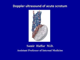 Doppler ultrasound of acute scrotum
Samir Haffar M.D.
Assistant Professor of Internal Medicine
 
