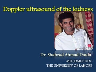 Doppler ultrasound of the kidneys
 