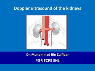 Doppler ultrasound of the kidneys
Dr. Muhammad Bin Zulfiqar
PGR FCPS SHL
 