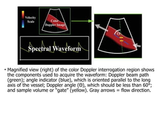 Doppler US in biomedical engineering and medical imaging | PPTX