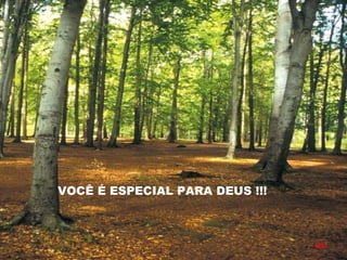 VOCÊ É ESPECIAL PARA DEUS !!!
RH