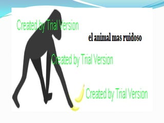 presentacion de edraw